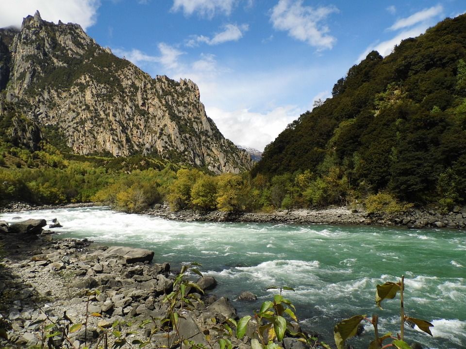 Northern Anatolian conifer and deciduous forests